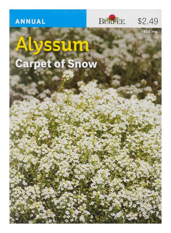 Burpee Annual Alyssum Carpet Of Snow Seeds (15.9 oz)
