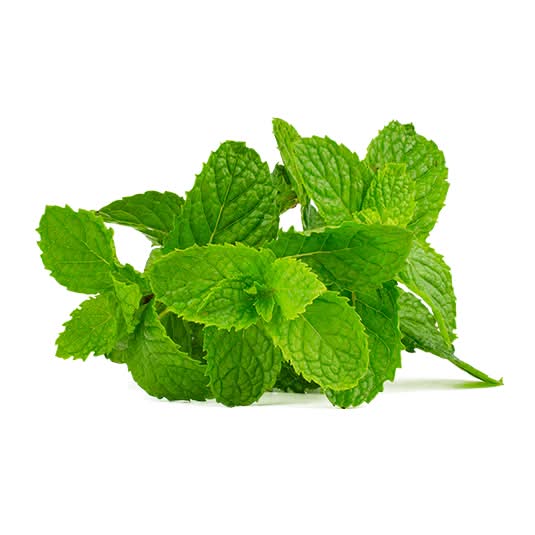 2 Bouquets de menthe fraiche
