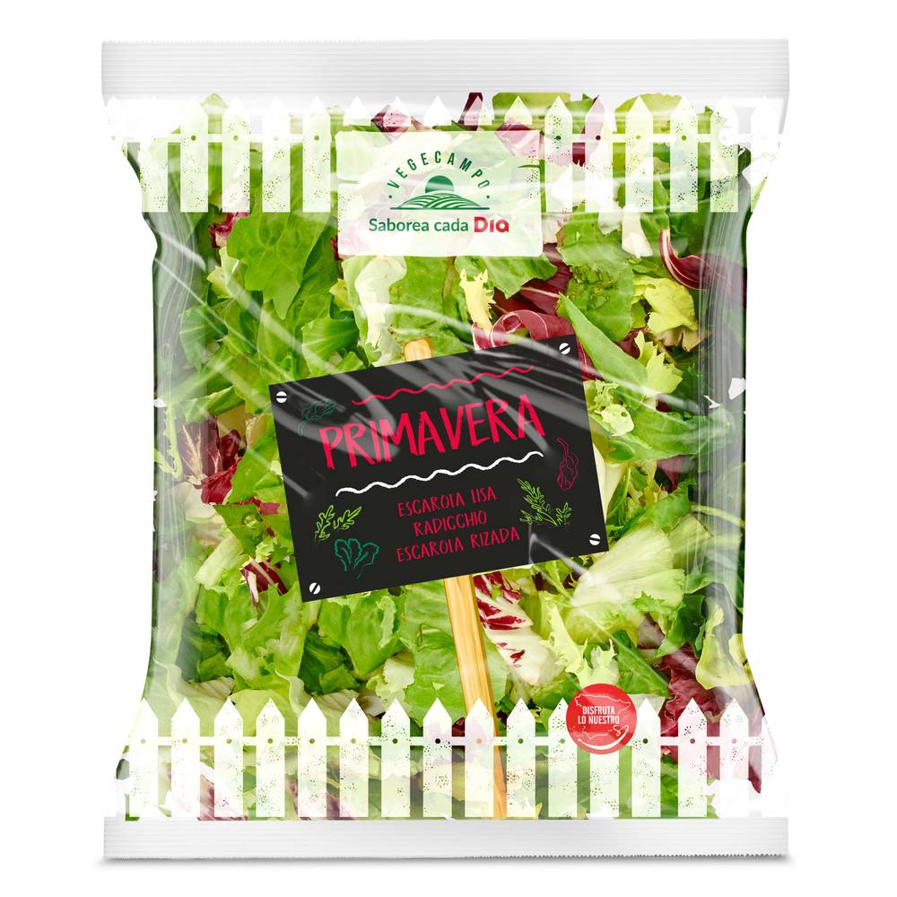 Ensalada Variada Vegecampo De Dia Bolsa 200 G