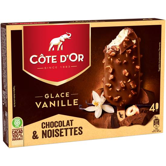Cote D'or - Glacés vanille chocolat lait et noisettes (4 pièces)