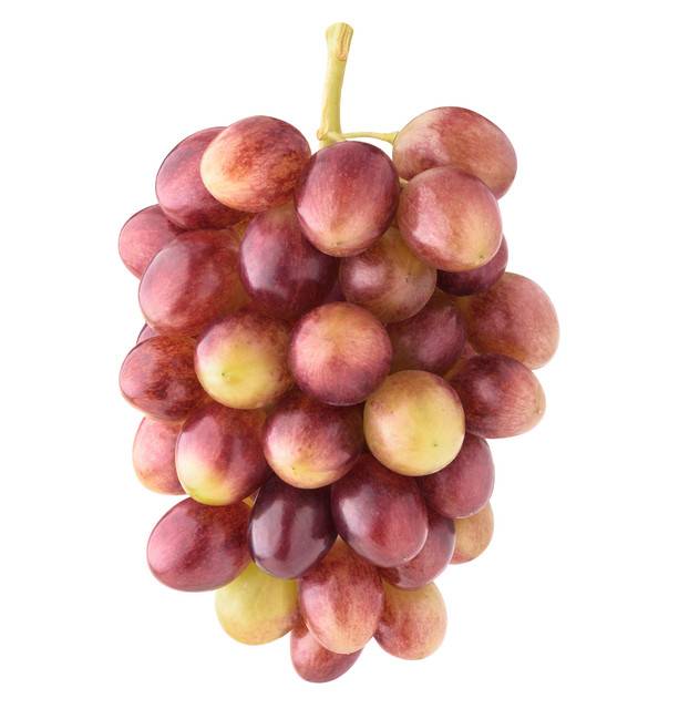 Organic Red Globe Grapes