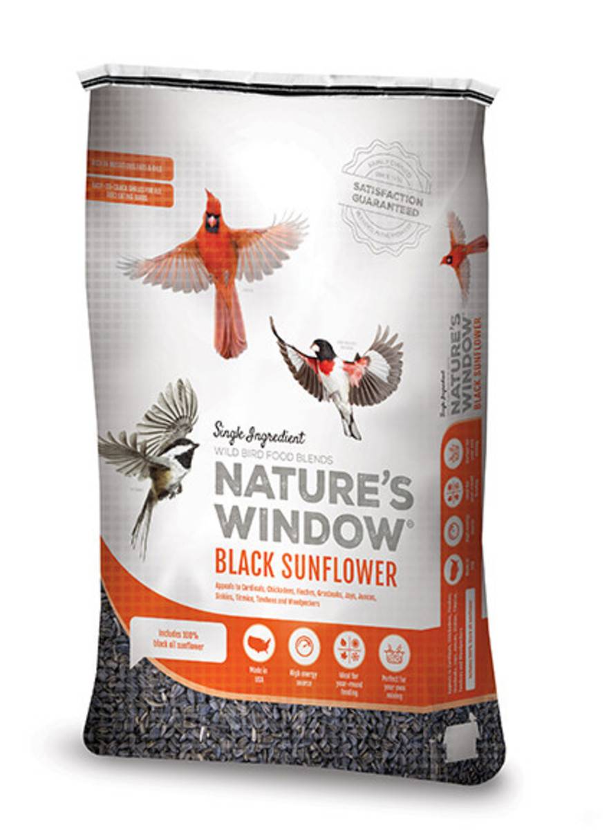 Natures Window Wild Bird Black Oil Sunflower Seed, 20 Pounds