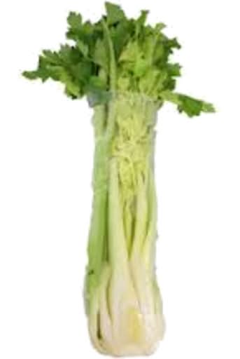 Celery Half 1