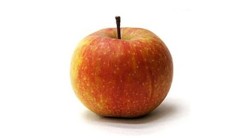 POMME GALA Le sachet de 1,5 kg