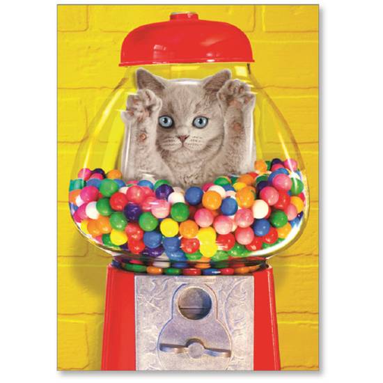 Viabella Birthday Greeting Card With Envelope, Gumball Cat, 5" x 7"