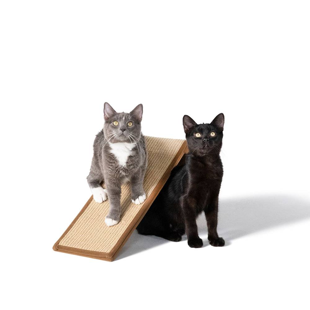 Whisker City Stretch 'N Scratch Cat Ramp ( 15\"L x 7\"w x 10\"h)