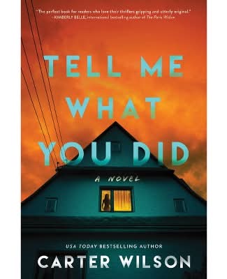 Sourcebooks Tell Me What You Did - By Carter Wilson