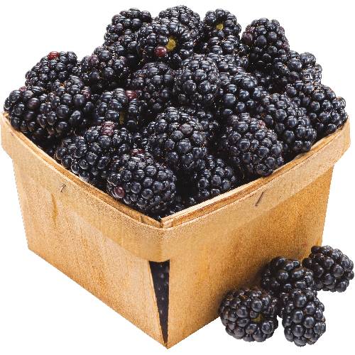 Organic Blackberries