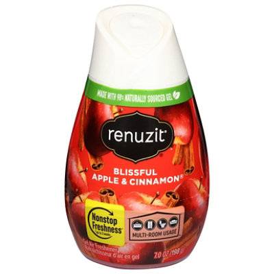 Renuzit Apple Cinnamon Adjustable Gel Air Freshener - 7 Oz