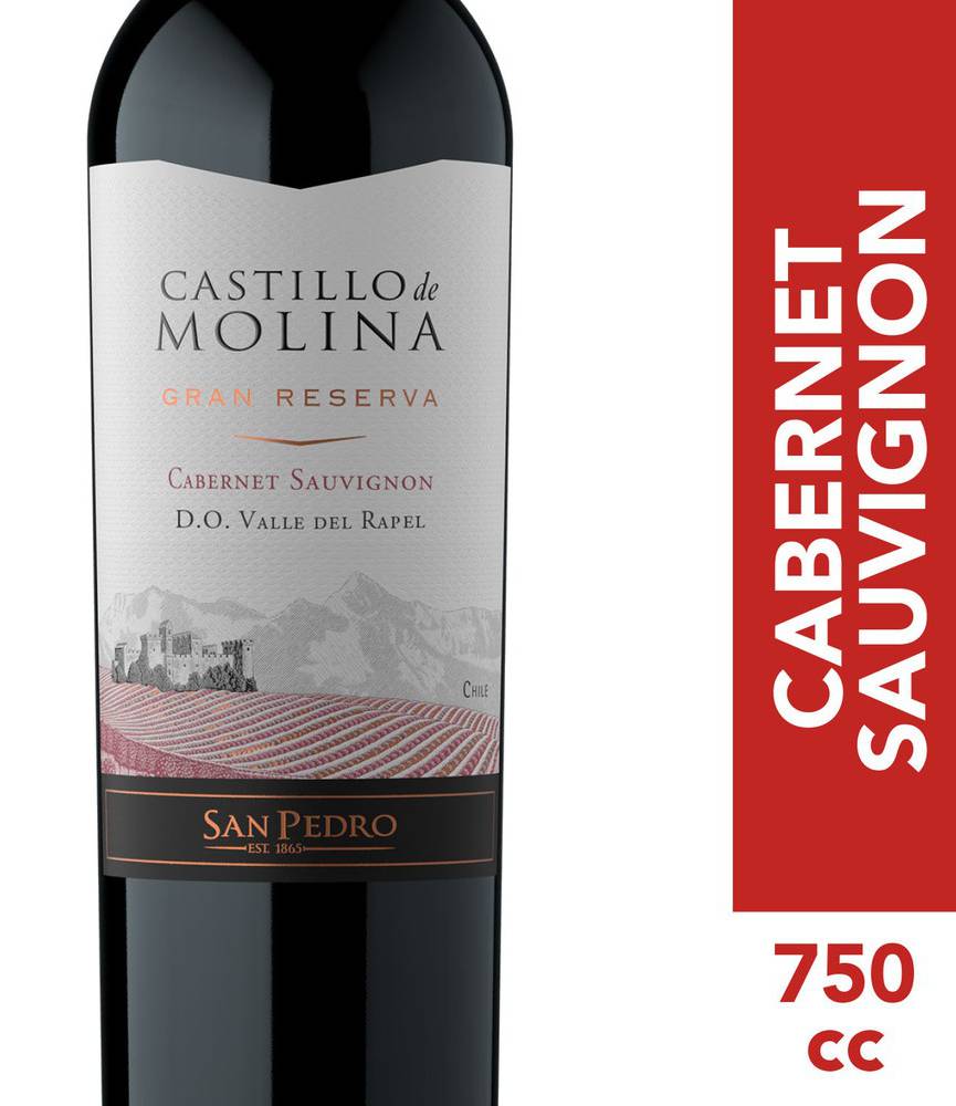 Castillo de Molina · Vino cabernet sauvignon gran reserva (750 ml)