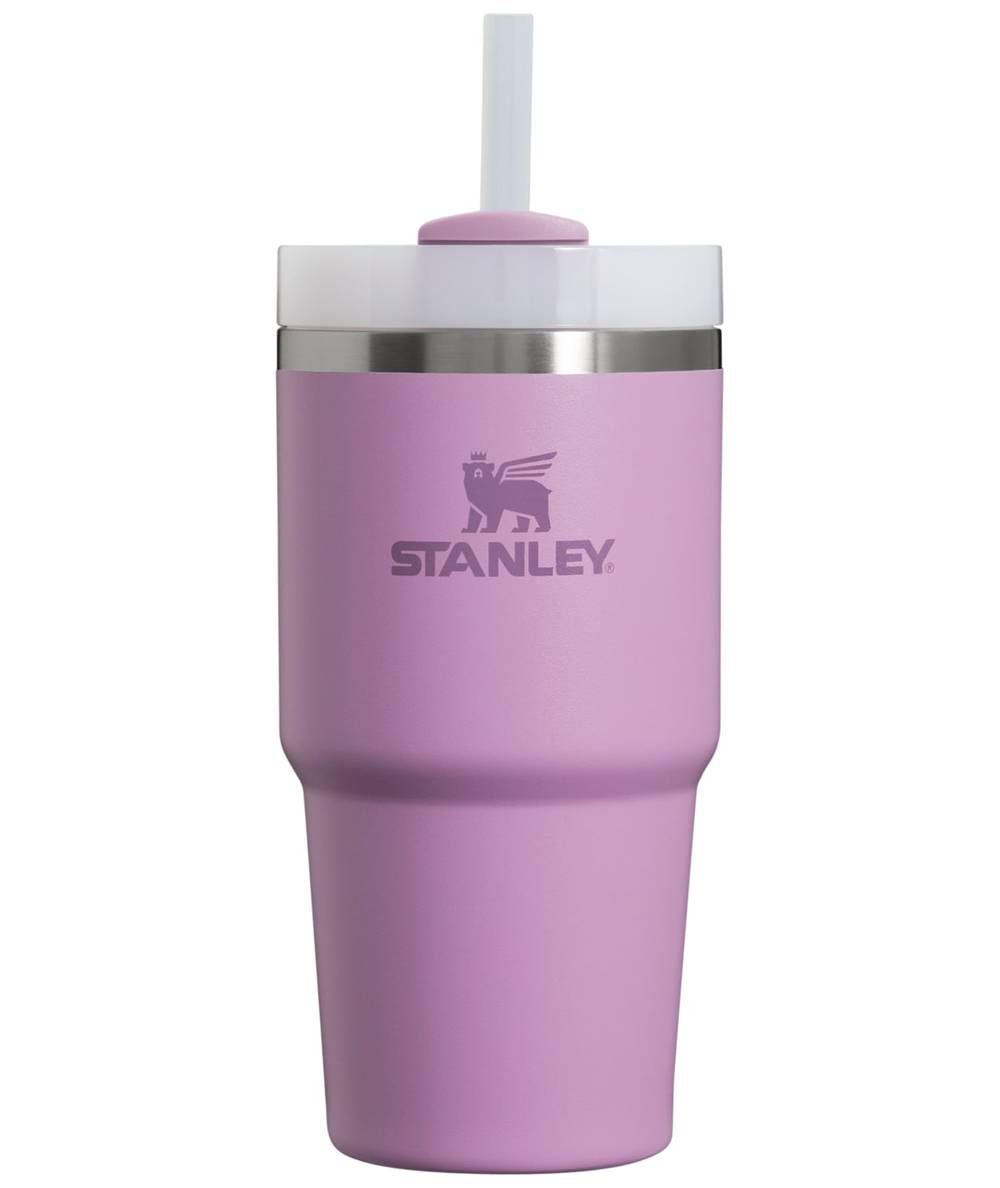 Stanley 20-fl oz Stainless Steel Insulated Water Bottle- Lilac | 10-10826-189