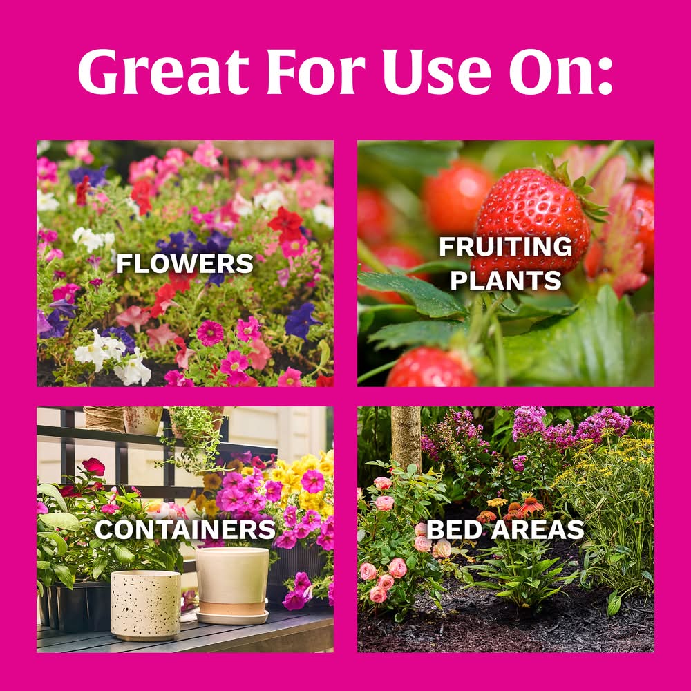 Scotts Bloom Plant Food