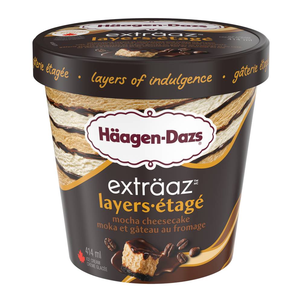 Häagen-Dazs Exträaz Layers Mocha Cheesecake Ice Cream (414 g)