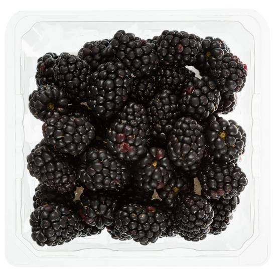 Mûres (170 g) - blackberries (1 unit (approx. 170 g))