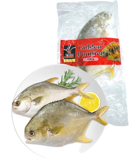Hanabi Golden Pomfret Fish 500g