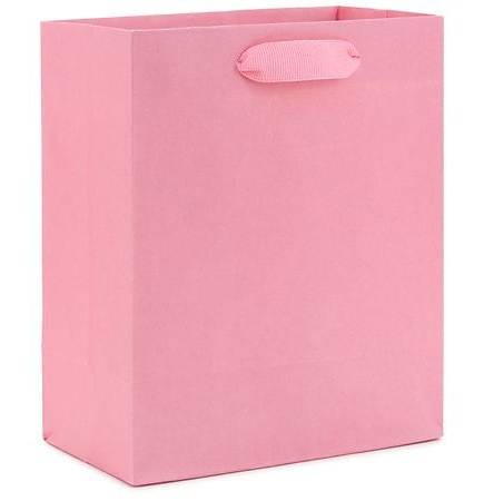 Hallmark Gift Bag For Birthdays Bridal Showers Baby Showers