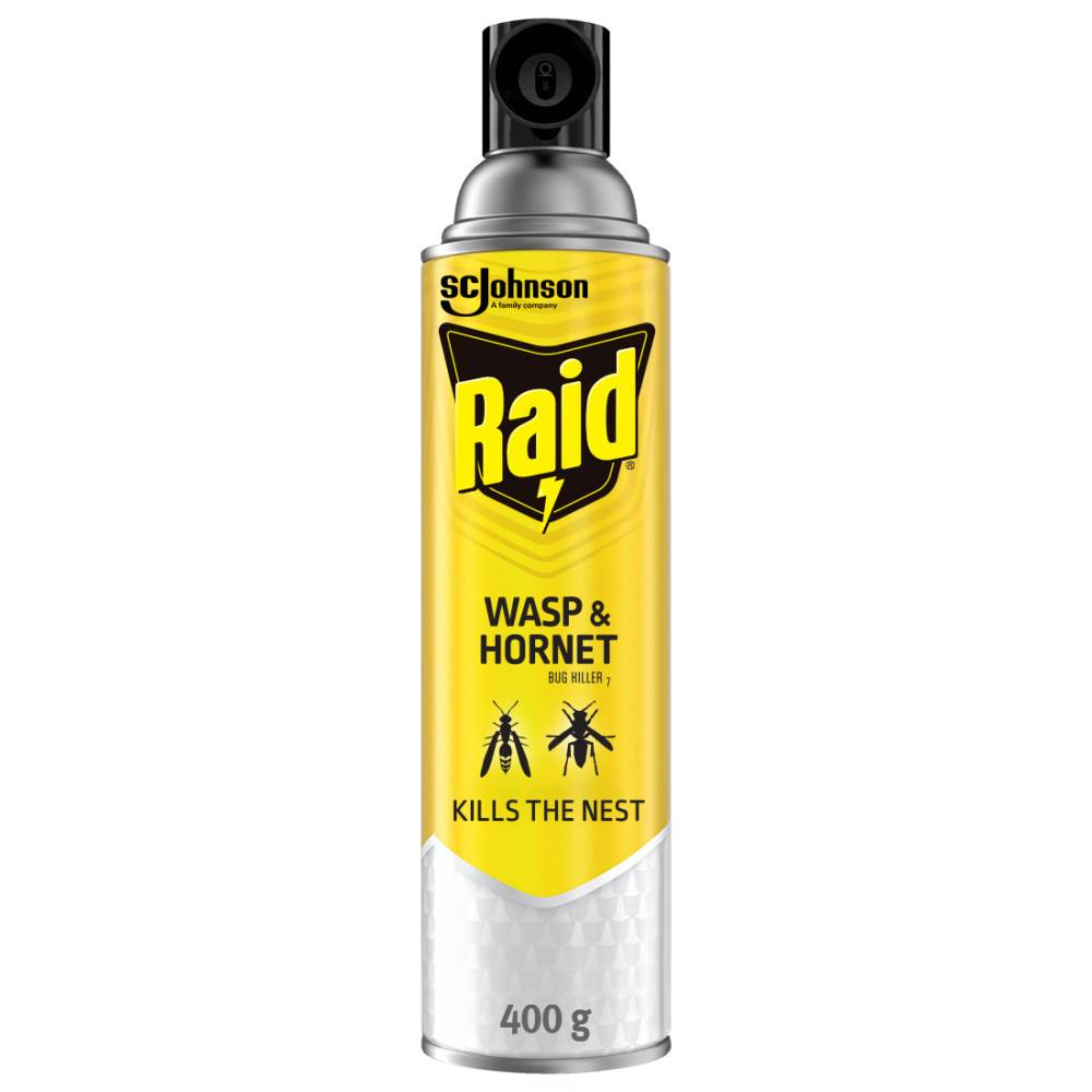 Raid Wasp and Hornet Insect Killer Spray (400 g)