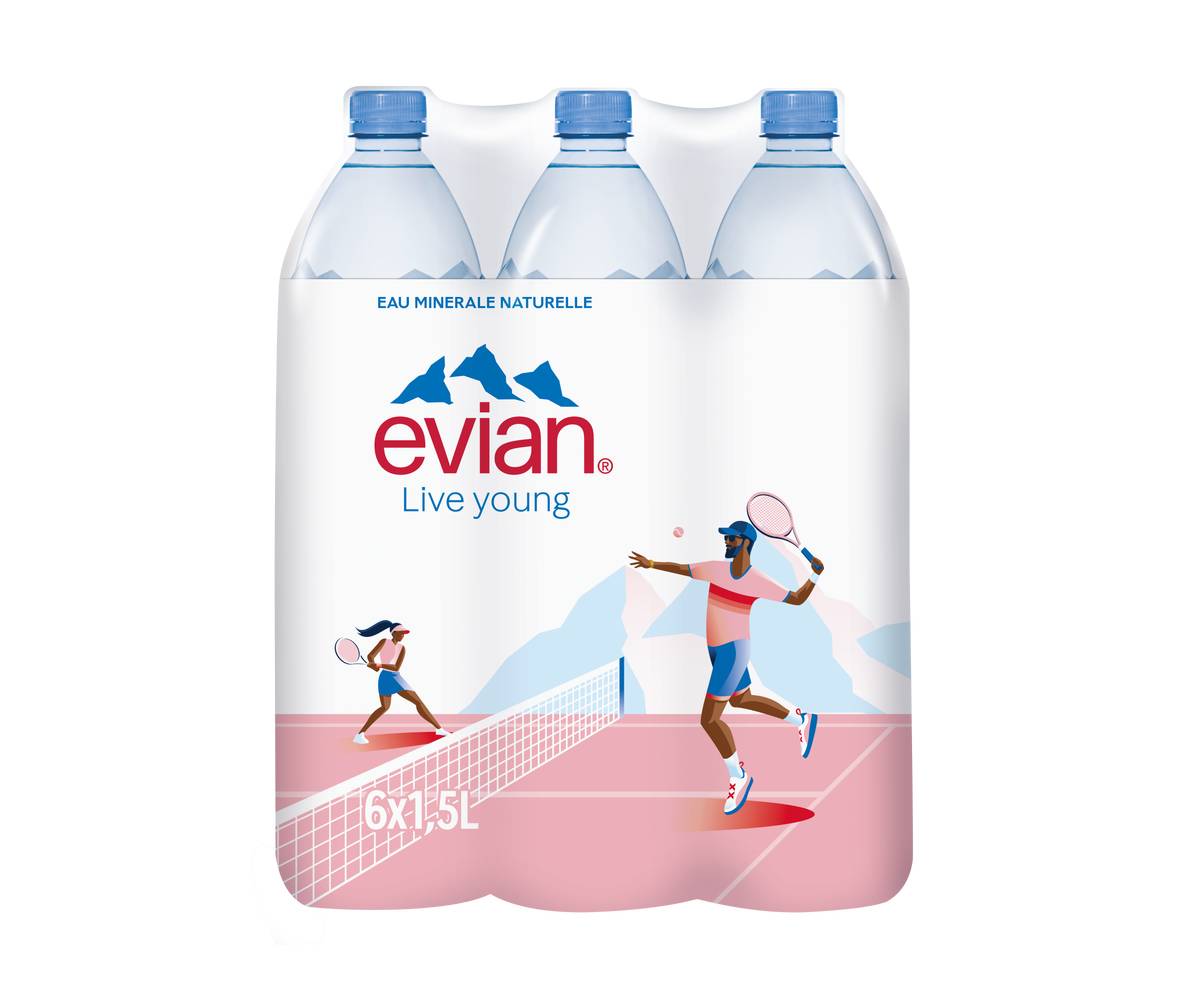 Evian - Eau minérale naturelle (6 x 1,5L)