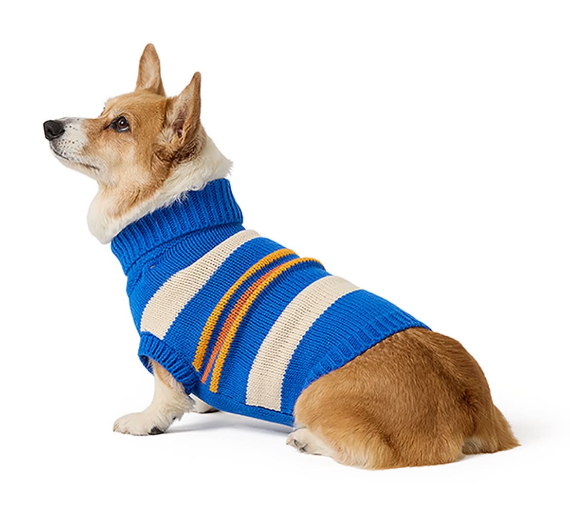 Top Paw® Fall Sweater (Color: Blue, Size: X Small)