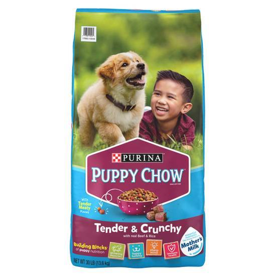 Purina Puppy Chow Tender & Crunchy Dry Puppy Food (beef-rice)