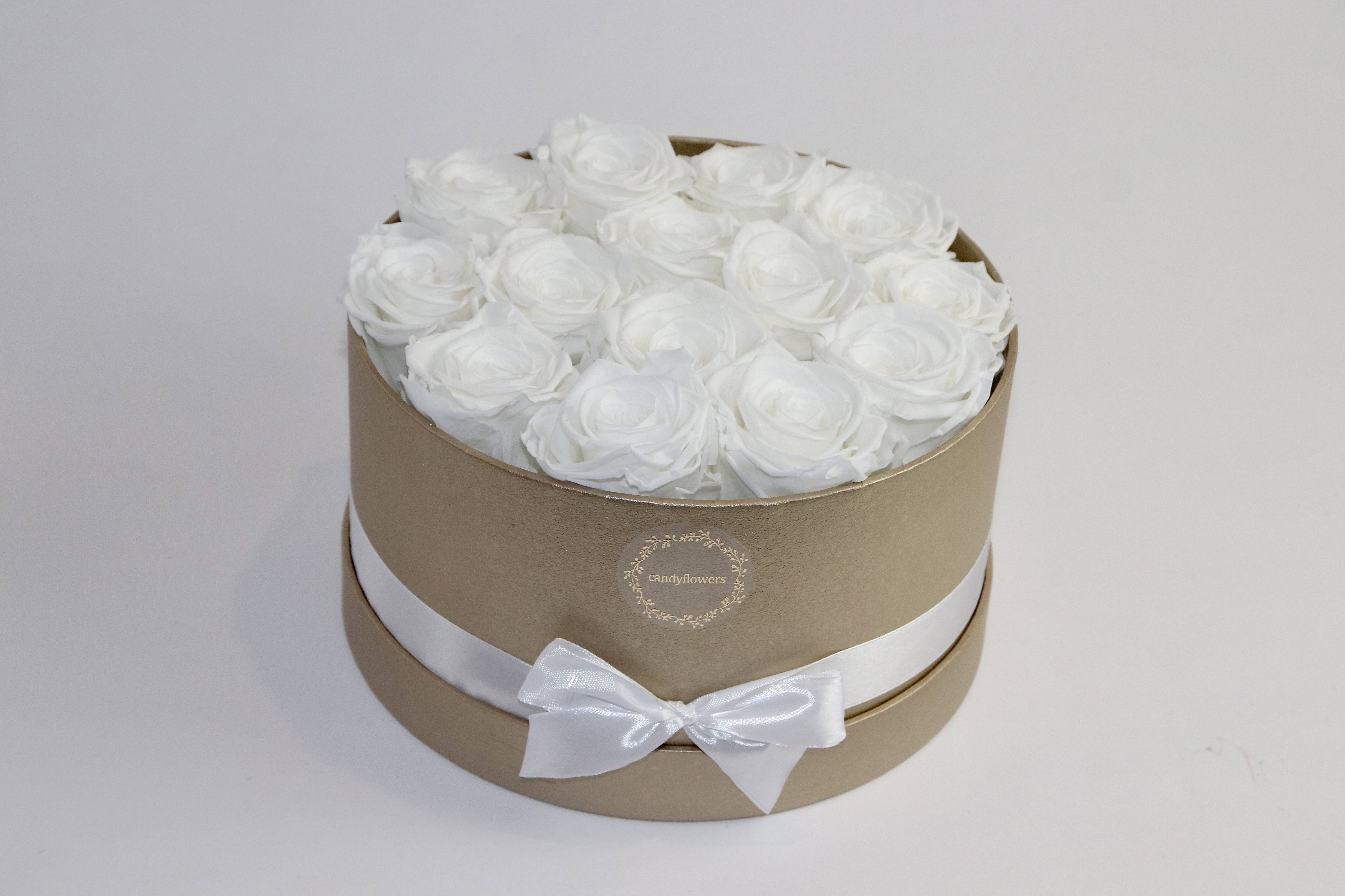 Medium rose blanche