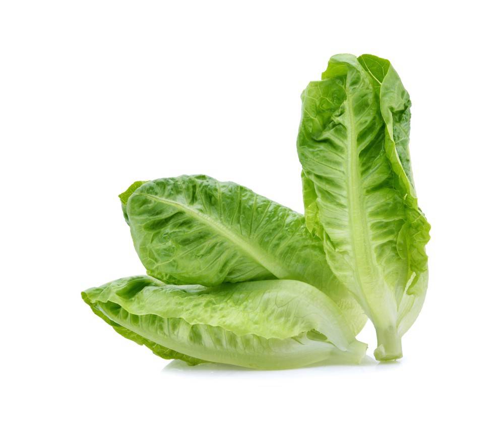 Salinas Organic Lettuce Romaine Hearts