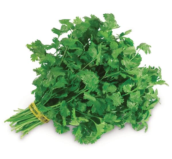 Nature's Greens Cilantro Bunch