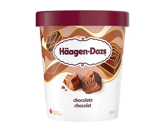 Häagen-Dazs Au Chocolat Chocolate Ice Cream