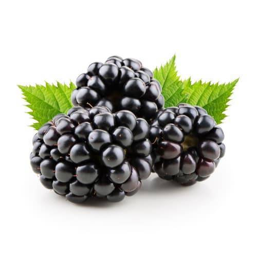 Clamshell Blackberries