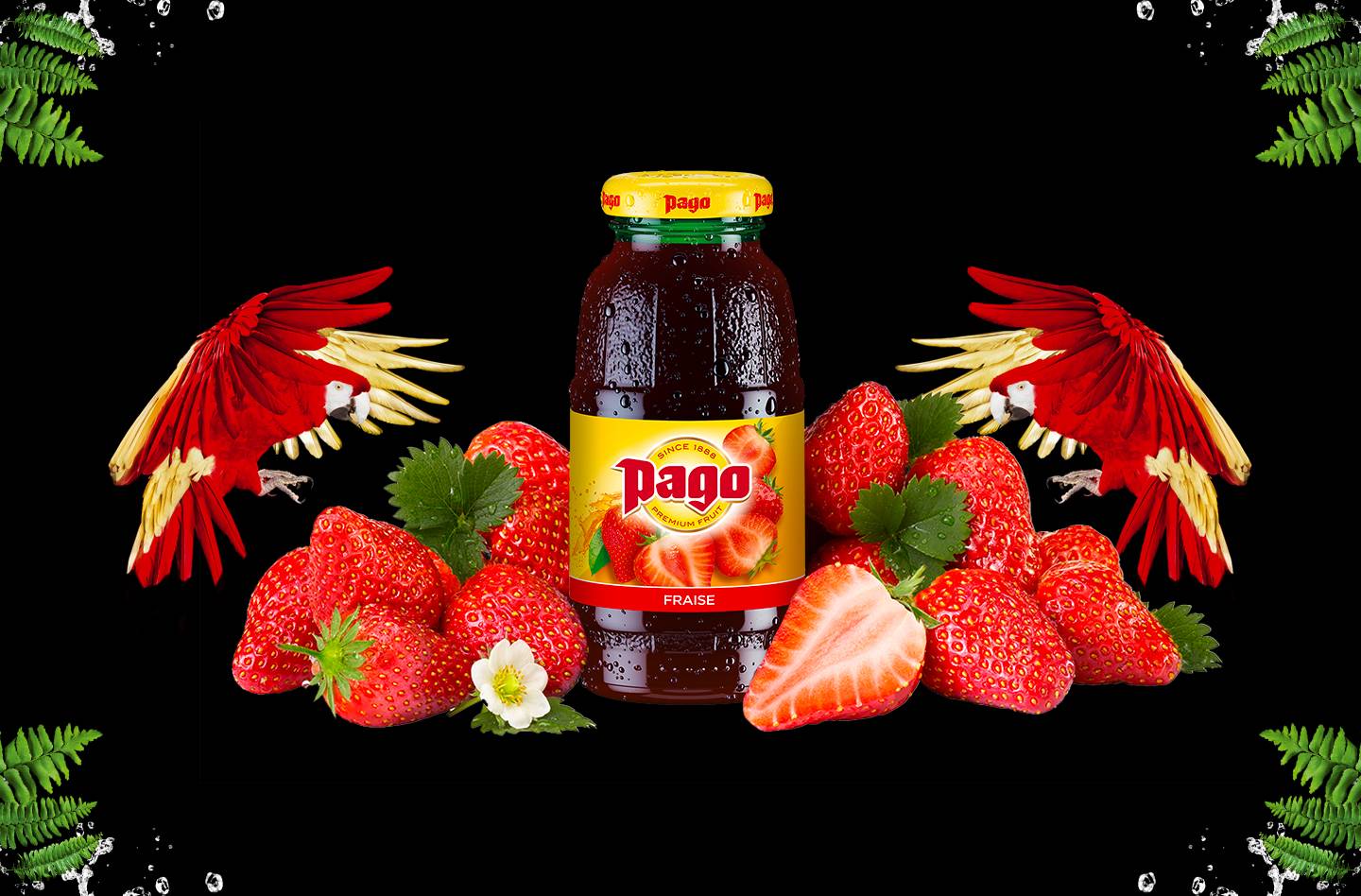 Pago Fraise