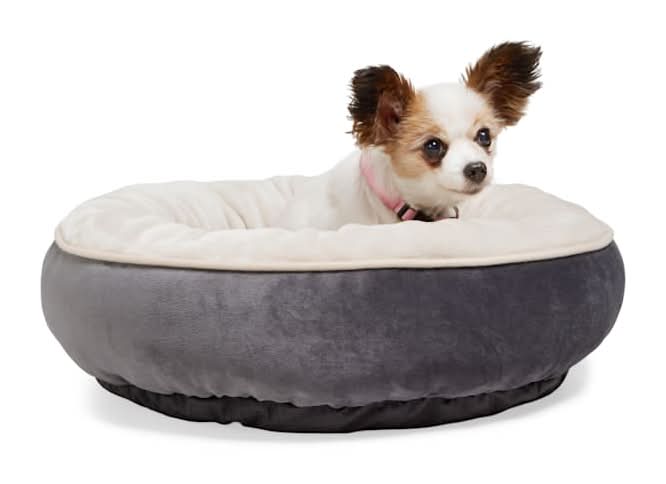EveryYay Essentials Round Dog Bed, S, Gray