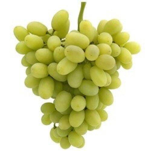 Green Seedless Grapes - 3 lbs clamshell