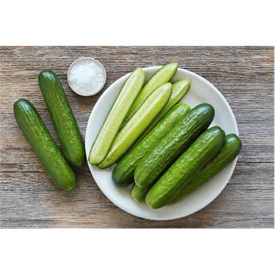 Cucumber Cocktail, 1 lb