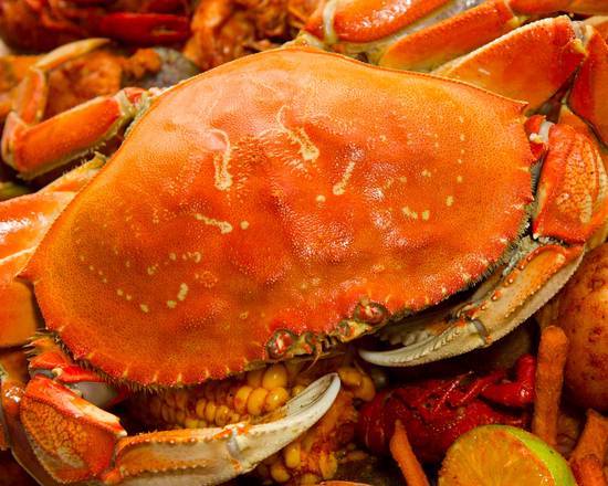 Dungeness Crab Lrg