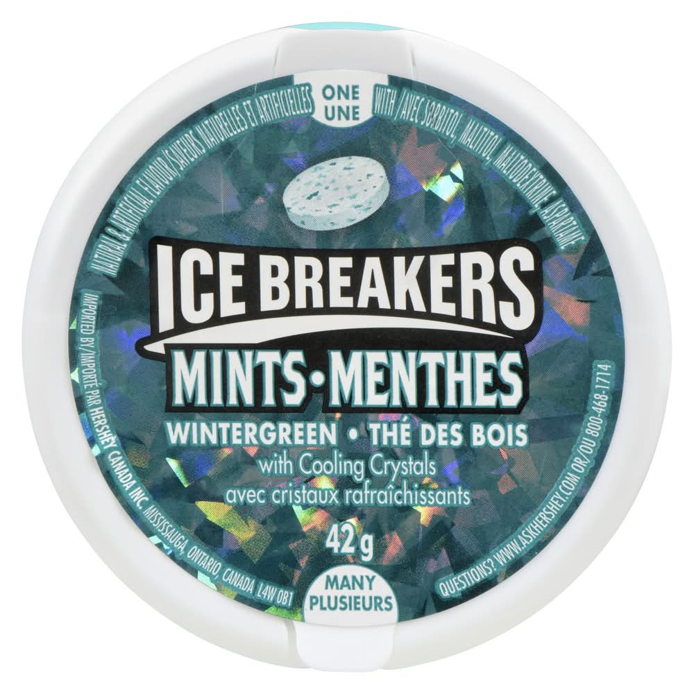 Ice breakers menthes sans sucre – thé des boi - wintergreen sugar free mints (42 g)