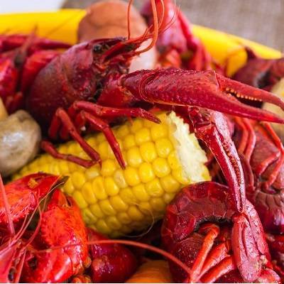 Live Crawfish 1LB
