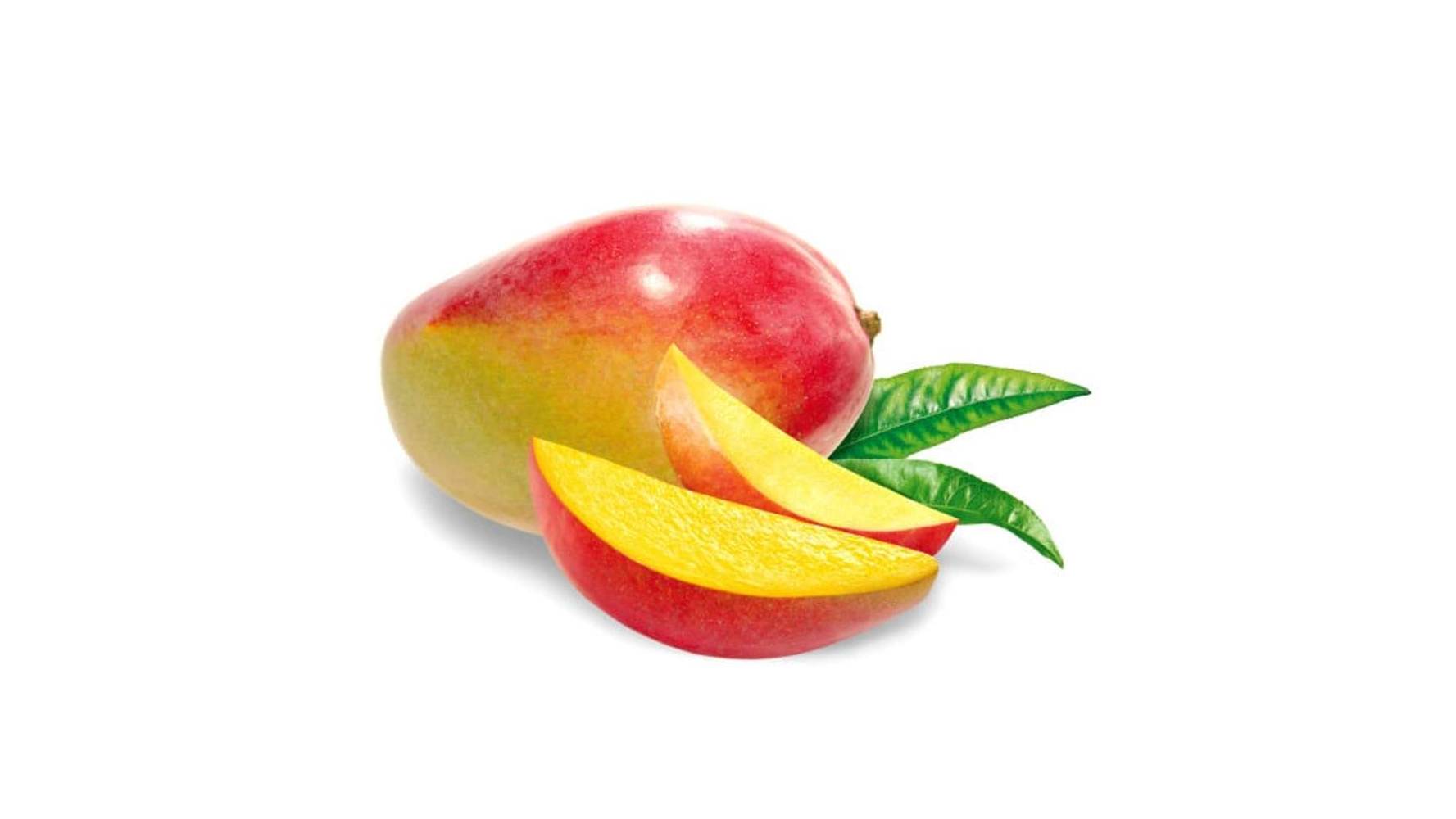 MANGUE La pièce