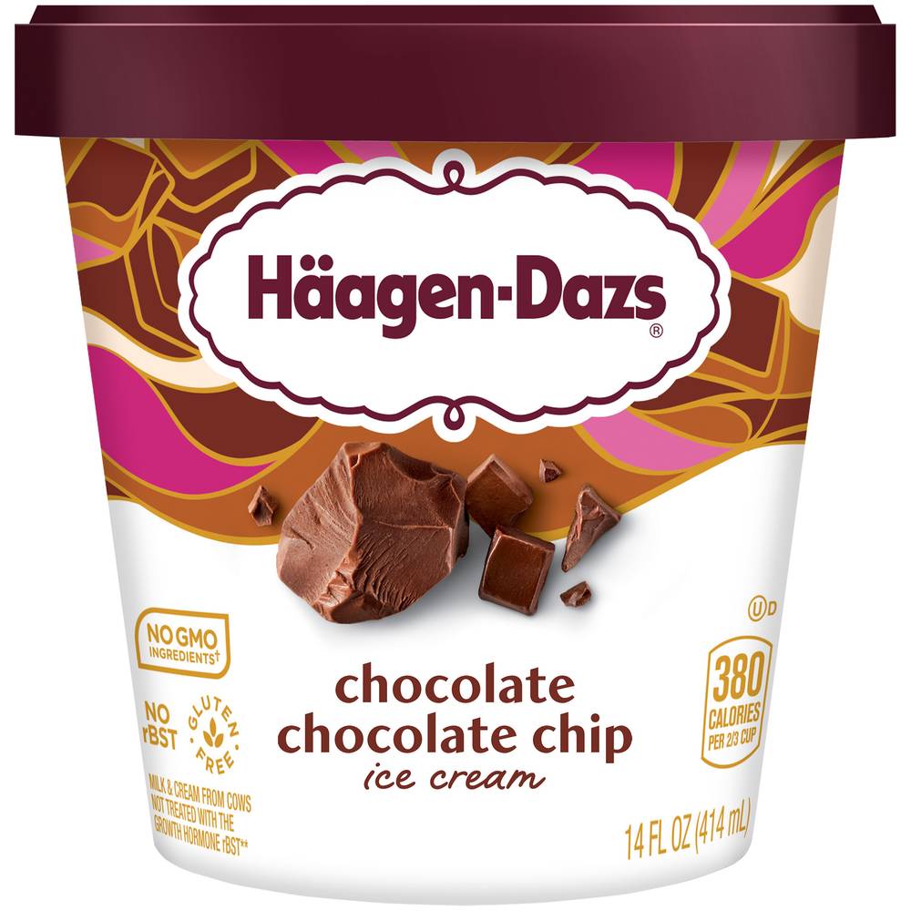 Häagen-Dazs Chocolate Chip Ice Cream