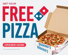 Domino's (129 S Frontage Rd)