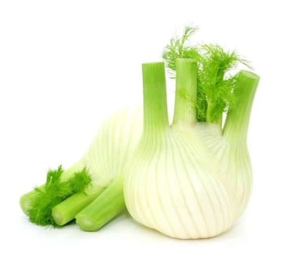 Fenouil Lot De 2 Piece L'Unité