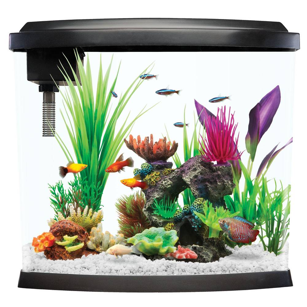 Top Fin Split Bowfront 5 Gallon Aquarium, Black