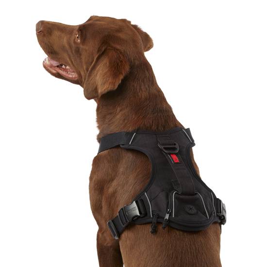 KONG® Reflective Waste Bag Dog Harness (Color: Black, Size: Large)
