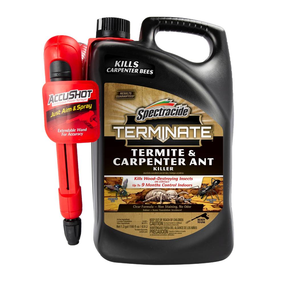 Spectracide Terminate Termite and Carpenter Accushot Ant Killer Spray (134 oz)