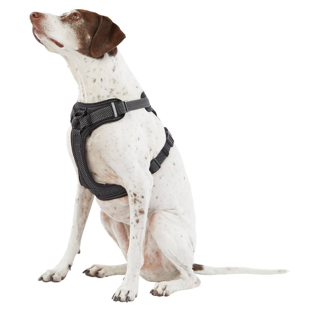 Top Paw® Ultra-Reflective Dog Harness (Color: Grey, Size: Medium)