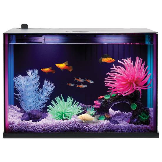 Top Fin® Custom Colorflow™ Aquarium with 7 Color-Changing LEDs (Size: 3 Gal)