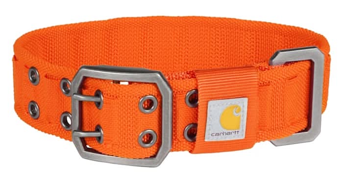 Carhartt Nylon Wide Dog Collar, Blaze Orange, Large