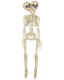 20 Inch Two-Headed Skeleton