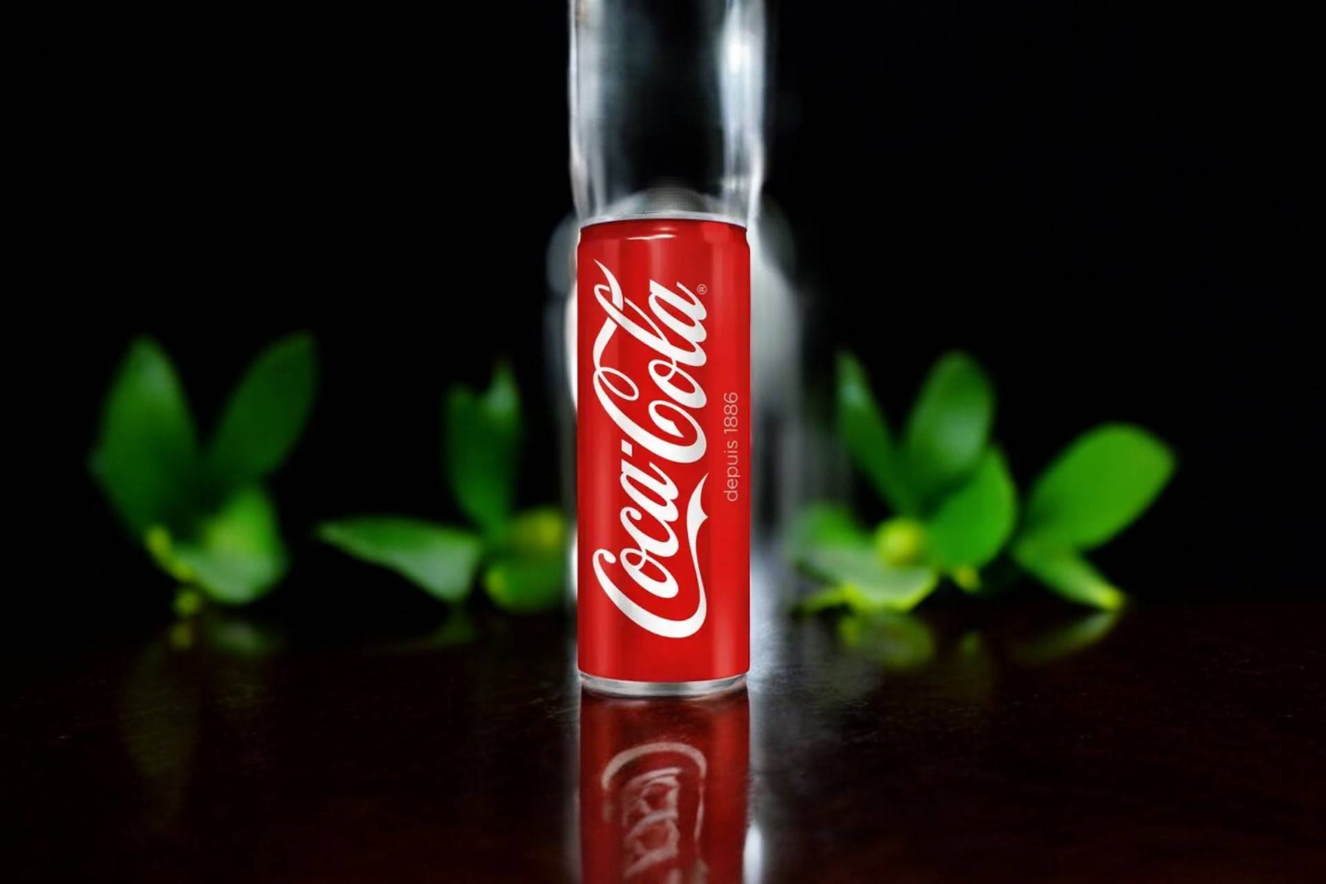 🥤Coca-Cola