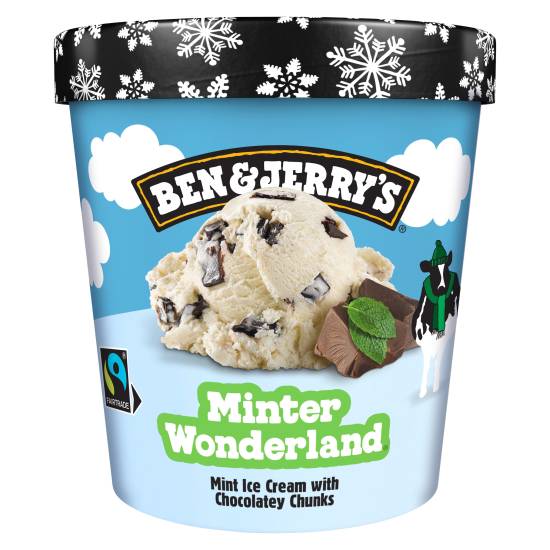 Ben & Jerry's Minter Wonderland, Ice Cream (465ml)