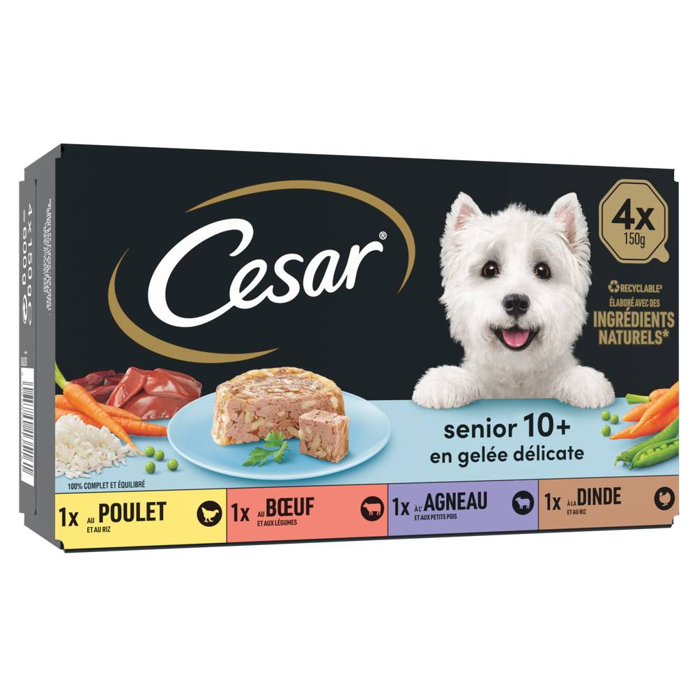 Cesar - Senior barquettes en gelée pâtée pour chien (4 pièces)